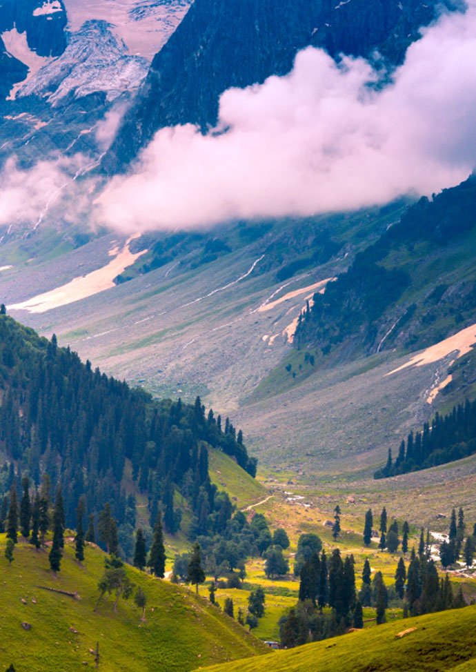 Kashmir