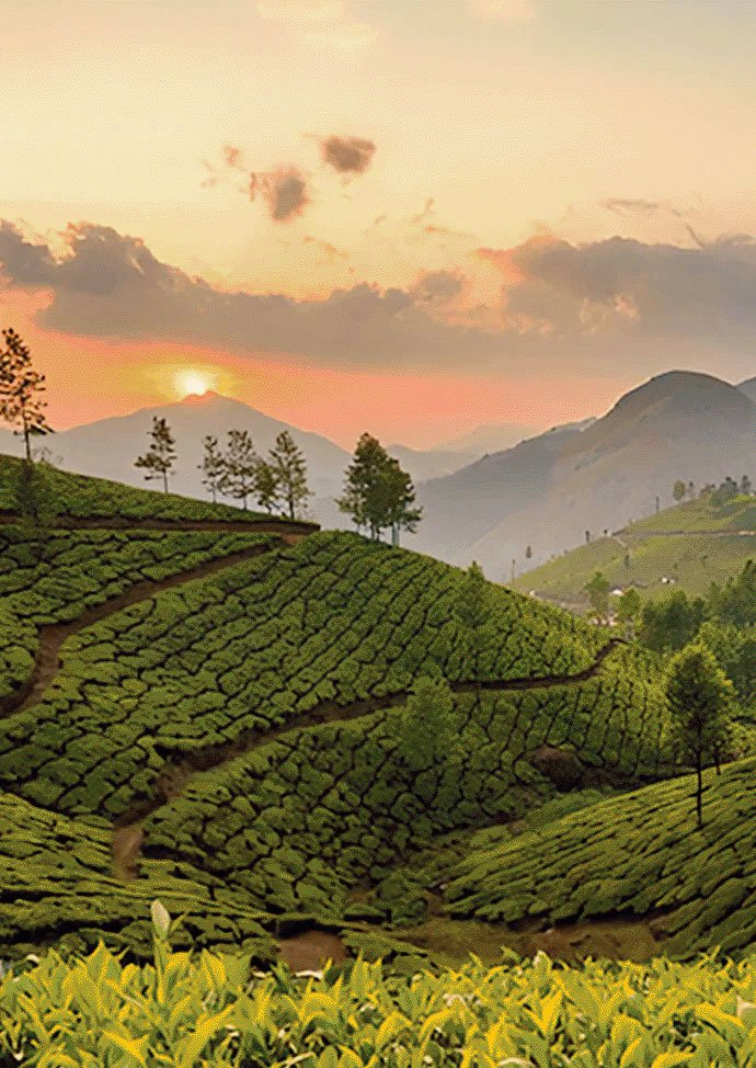 Munnar